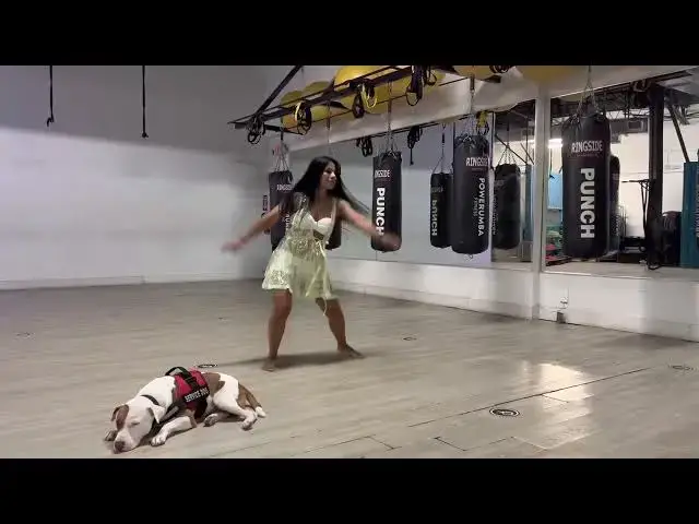 Video thumbnail for Waka Waka free style