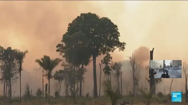 Video thumbnail for Brazil: Amazon deforestation at 40-year low