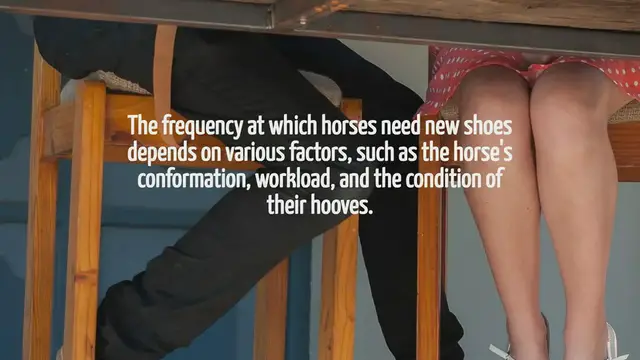 Video thumbnail for How Often Do Horses Need New Shoes