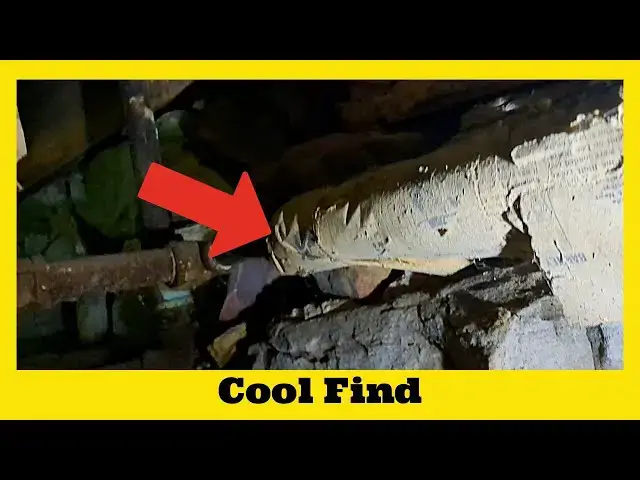 Video thumbnail for Interesting Find Under 1895 House