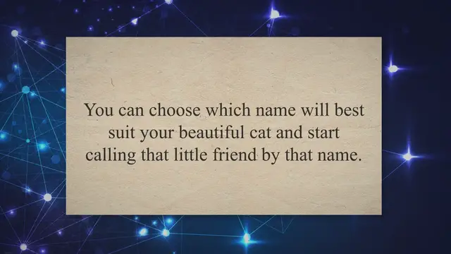 'Video thumbnail for Best Female Cat Names You Should Know About [Detailed Guide]'