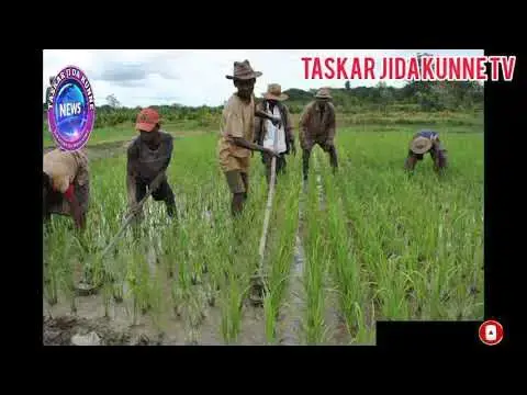 Video thumbnail for _TAREDA MANOMA 3