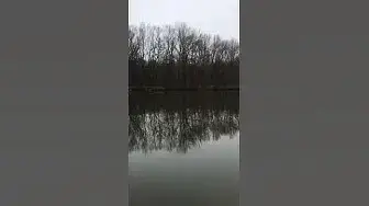 Video thumbnail for Calming Video of a River in the Winter Forest