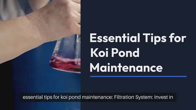 Video thumbnail for Koi Pond Maintenance Tips