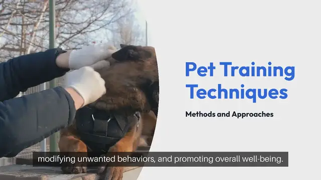 Video thumbnail for Pet Training Techniques
