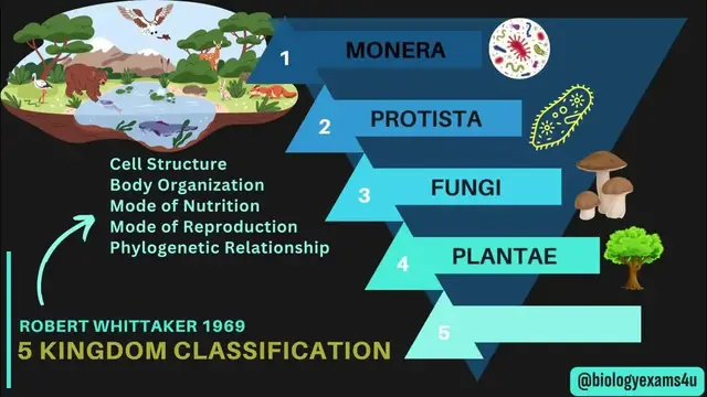 Video thumbnail for 5 Kingdom Classification with Examples - Whittaker | An Overview | Biological Classification