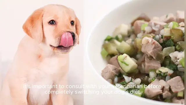 Video thumbnail for homemade dog food recipe vet approved