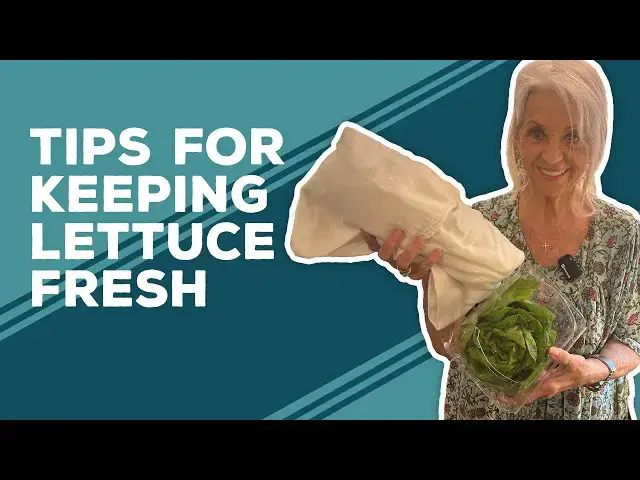 Video thumbnail for Love & Best Dishes: Tips for Keeping Lettuce Fresh in the Fridge