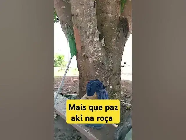 Video thumbnail for Paz na roça não si compra #vlogger