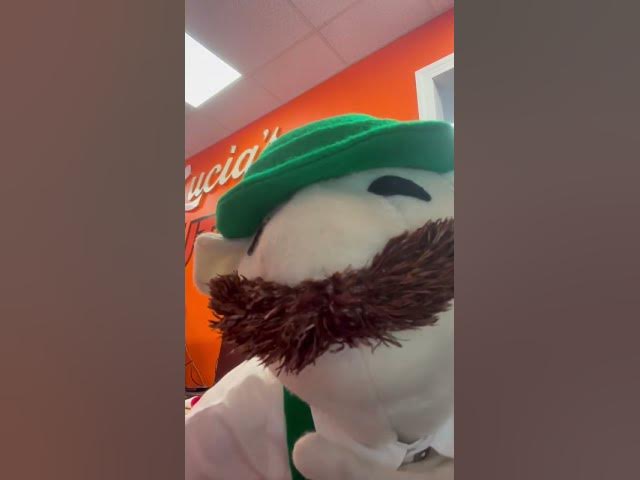 Video thumbnail for Glüsche learns the camera