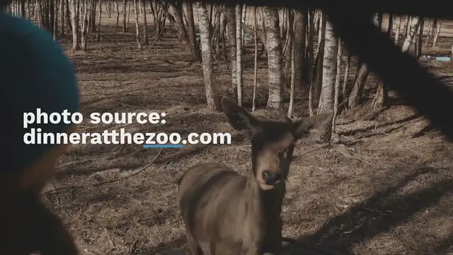 Video thumbnail for Healthy Slow Cooker Recipes You Can Make Now & Freeze For Later: