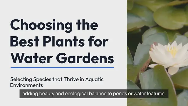 Video thumbnail for Best Plants for Water Gardens Top Picks