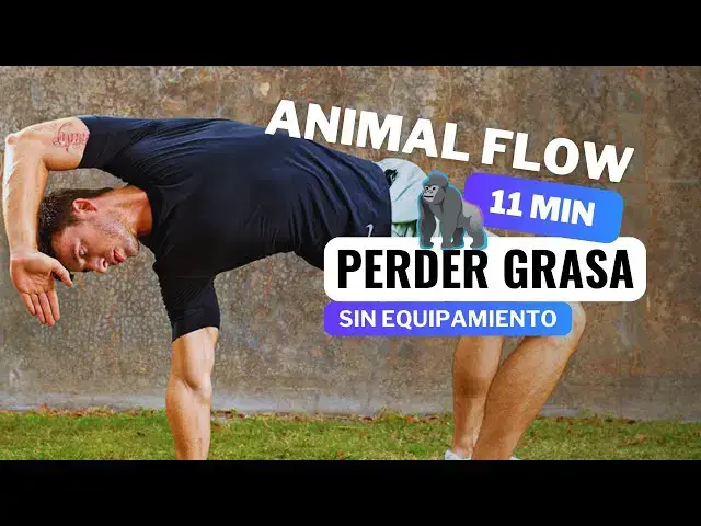 'Video thumbnail for 11 MIN RUTINA ANIMAL FLOW PARA PERDER GRASA 🦍 | Entrena En Casa'