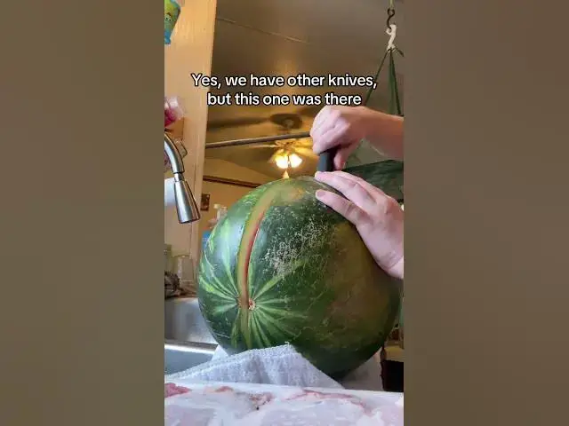 Video thumbnail for I’m really surprised it lasted around here that long #Watermelon #Summer #CuttingWatermelon #Group7