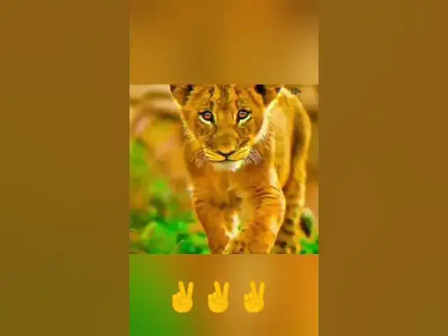 Video thumbnail for my family Please channel subscribe.😎😎😎🤗🙂😎🤗