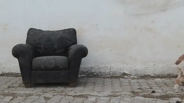 Video thumbnail for How to Stain a Leather Chair