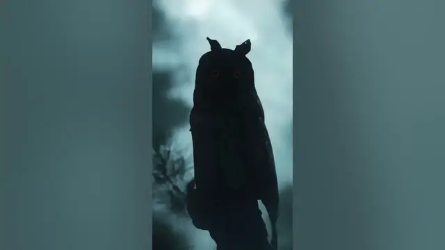 Video thumbnail for Scary owl #shorts