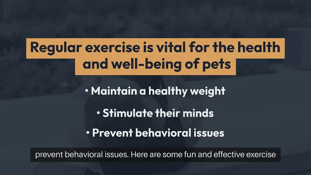 Video thumbnail for Pet Exercise Ideas