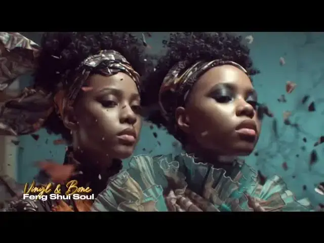 Video thumbnail for Vinyl & Bone - Feng Shui Soul/Relentless Aaron