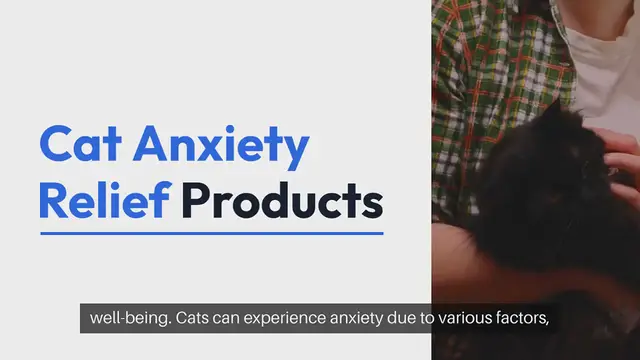 Video thumbnail for Cat Anxiety Relief Products