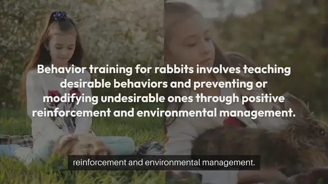 Video thumbnail for Behavior Training For Rabbits