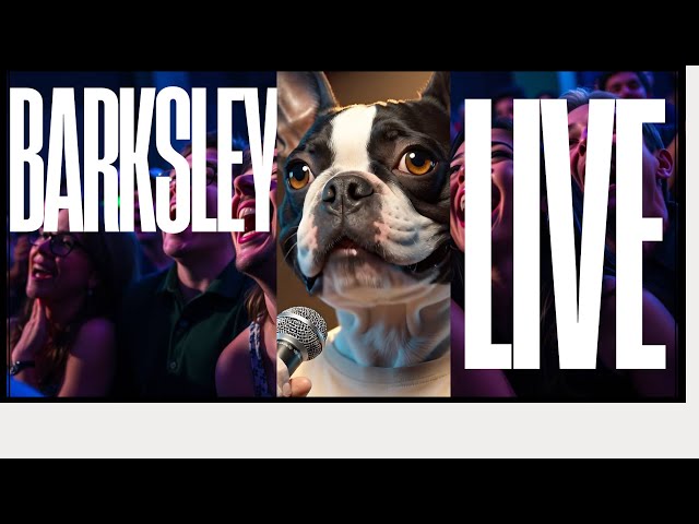 Video thumbnail for Barksley live: Orginal Stand up comedy with a Boston Terrier