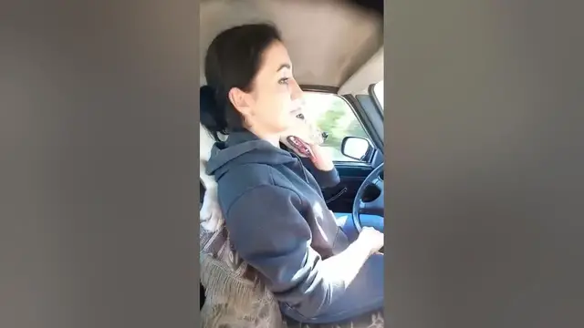 'Video thumbnail for Cute dog🥰😘😍😎#shorts'