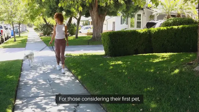 Video thumbnail for Pets For First Time Owners