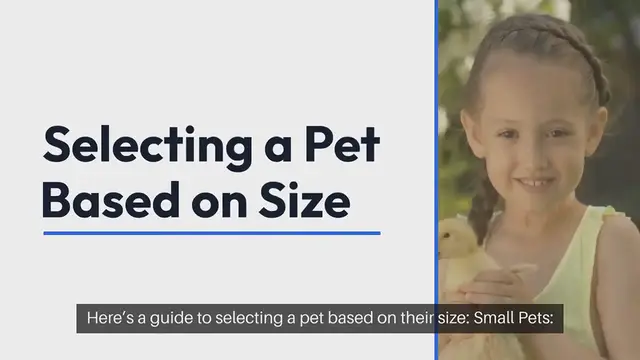 Video thumbnail for Choosing a Pet Based on Size