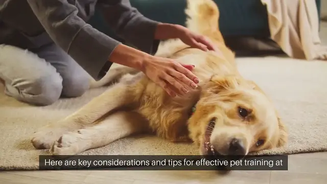 Video thumbnail for Pet Training At Home