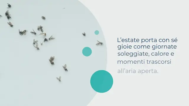 Video thumbnail for CON QUESTO TRUCCO, GLI INSETTI NON ENTRERANNO IN CASA NEMMENO QUANDO LE FINESTRE SONO APERTE