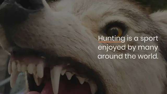 Video thumbnail for 400+ Best Hunting Business Names Ideas that Are Crazy!