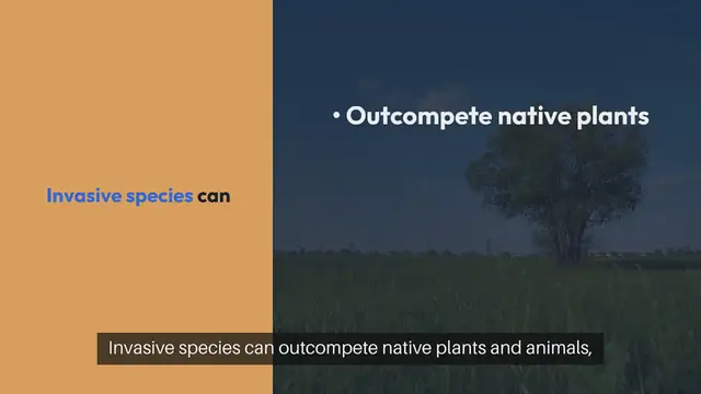 Video thumbnail for Preventing Invasive Species from Spreading