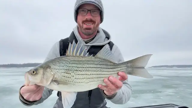 Video thumbnail for Wiper Ice Fishing One of My Best Days On the Ice
