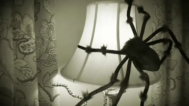 Video thumbnail for 
				 Ghoulish Grins