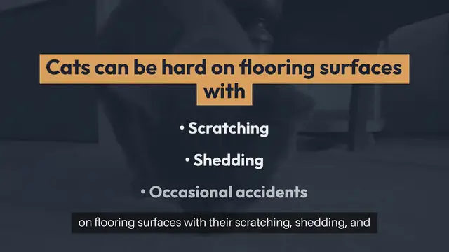 Video thumbnail for Cat Friendly Flooring Options