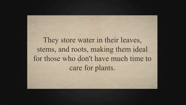 'Video thumbnail for Succulent Plants: Your Complete Guide to Types and How They Grow'