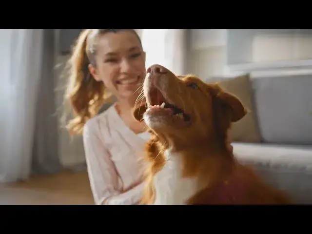 Video thumbnail for 12 Signs Your Dog Loves You and What Imprinting Really Means