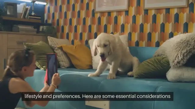 Video thumbnail for Choosing the Right Pet Breed