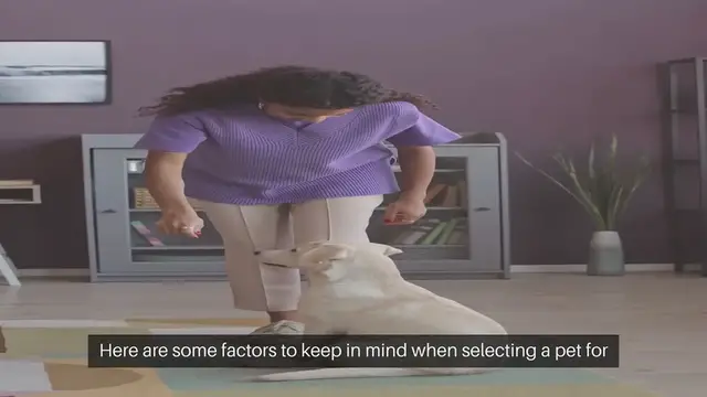 Video thumbnail for Choosing A Pet For Apartment Living