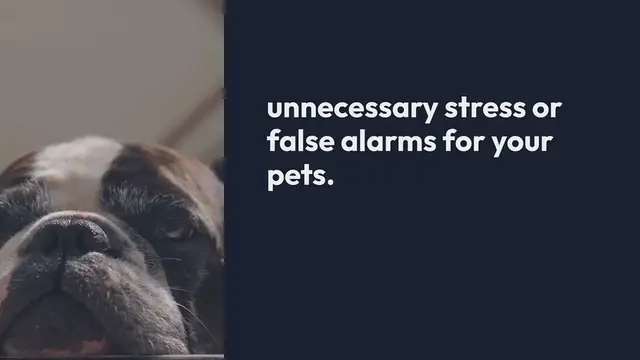 'Video thumbnail for Pet Friendly Security Enhancements'