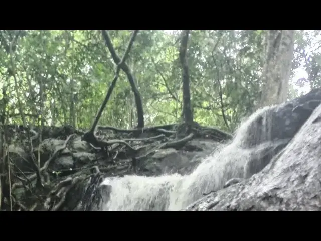 Video thumbnail for The Most Amazing Forest Caves in Kenya