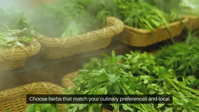 'Video thumbnail for Tips for Starting a Herb Gard'