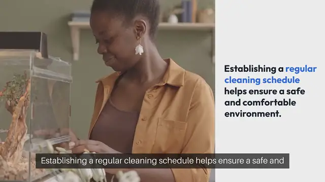 Video thumbnail for Snake Habitat Cleaning Schedule