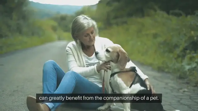 Video thumbnail for Pets For Empty Nesters