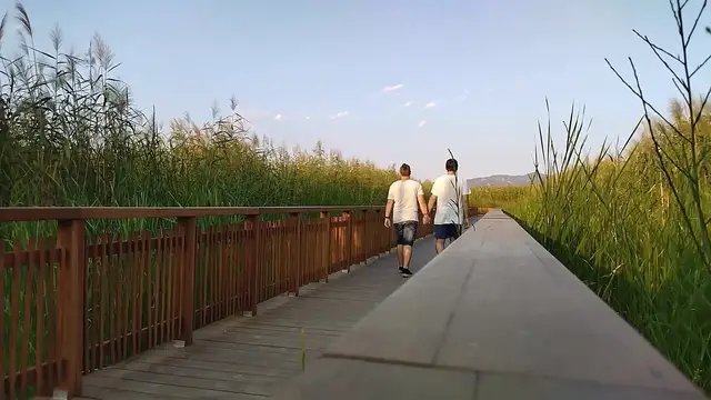 Video thumbnail for YouCut_20250831_202435769.mp4