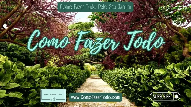 'Video thumbnail for Bem-vindo ao canal do YouTube Como Fazer Todo'