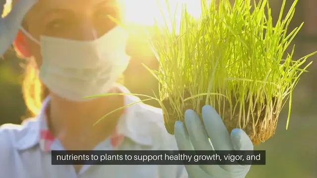 'Video thumbnail for Garden Fertilization Plan'