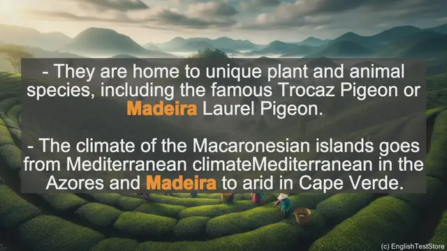 Video thumbnail for Madeira In Sentences - Examples Of Madeira In Sentences