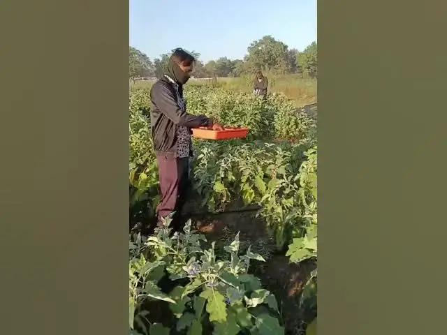 Video thumbnail for December 11, 2025